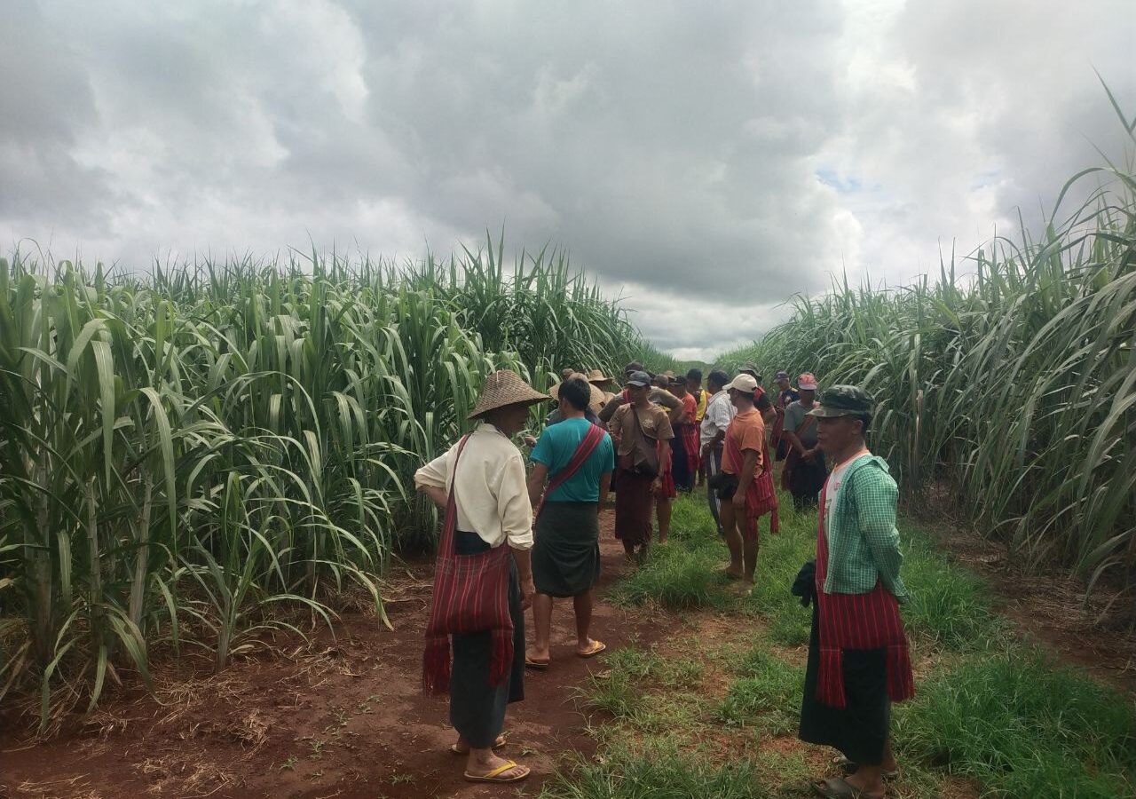 ဒေသခံတောင်သူများလူမှုစီးပွားဘဝဖွံဖြိုးတိုးတက်စေရေးအတွက်တိမ်ဖြူတောင်ကုမ္မဏီမှဒေသခံတောင်သူများအားကြံစိုက်ပျိုးခြင်းလုပ်ငန်းတွေ့ဆုံညှိနှိင်းခဲ့