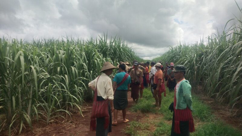 ဒေသခံတောင်သူများလူမှုစီးပွားဘဝဖွံဖြိုးတိုးတက်စေရေးအတွက်တိမ်ဖြူတောင်ကုမ္မဏီမှဒေသခံတောင်သူများအားကြံစိုက်ပျိုးခြင်းလုပ်ငန်းတွေ့ဆုံညှိနှိင်းခဲ့