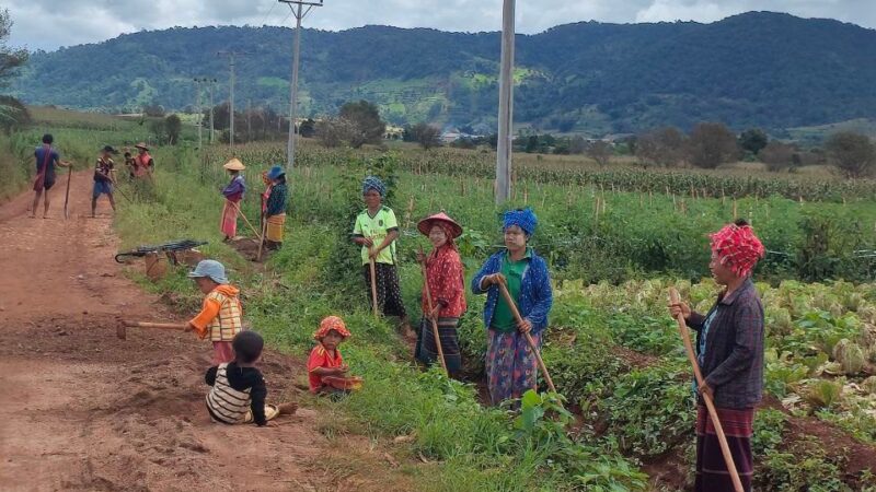 မိုးများရွာသွန်းမှုကြောင့် လမ်းများပျက်ဆီးကာ ရွာသူရွာသားများ ပြန်လည်ပြုလုပ်