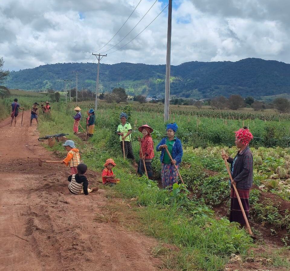 မိုးများရွာသွန်းမှုကြောင့် လမ်းများပျက်ဆီးကာ ရွာသူရွာသားများ ပြန်လည်ပြုလုပ်