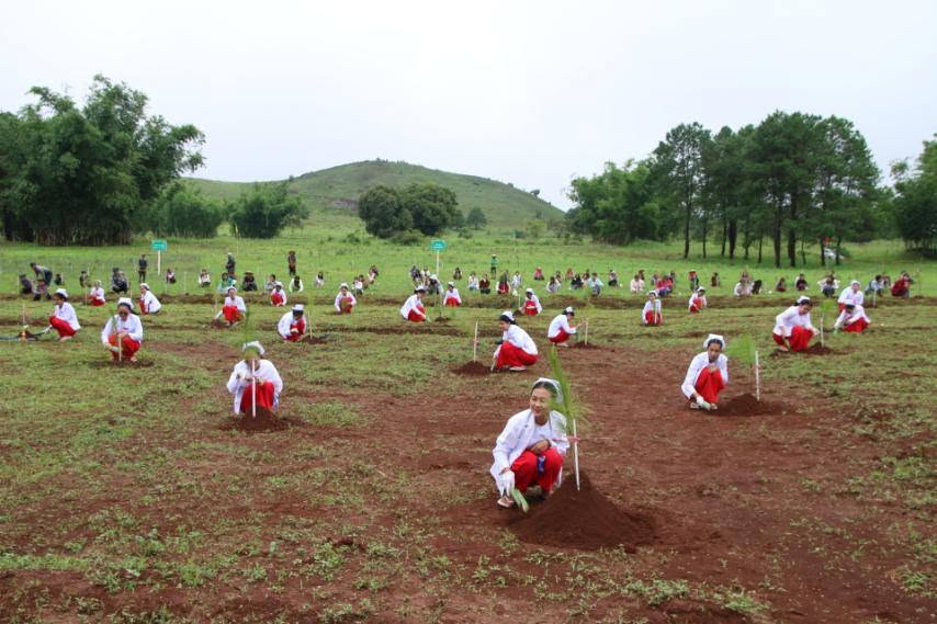တောင်ကြီးမြို့၌ မိုးရာသီသစ်ပင်စိုက်ပျိုးပွဲကျင်းပ၊ ပျိုးပင် ၁,၀၀၀ စိုက်ပျိုး