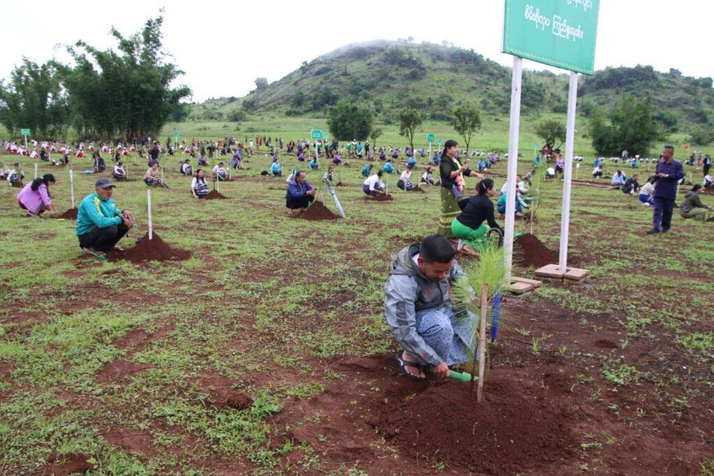 တောင်ကြီးမြို့၌ မိုးရာသီသစ်ပင်စိုက်ပျိုးပွဲကျင်းပ၊ ပျိုးပင် ၁,၀၀၀ စိုက်ပျိုး