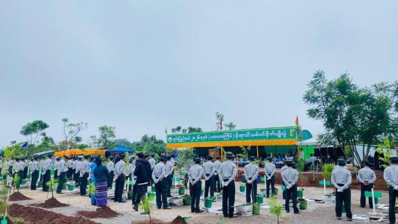 တောင်ကြီးမြို့၌ မိုးရာသီသစ်ပင်စိုက်ပျိုးပွဲကျင်းပ၊ ပျိုးပင် ၁,၀၀၀ စိုက်ပျိုး