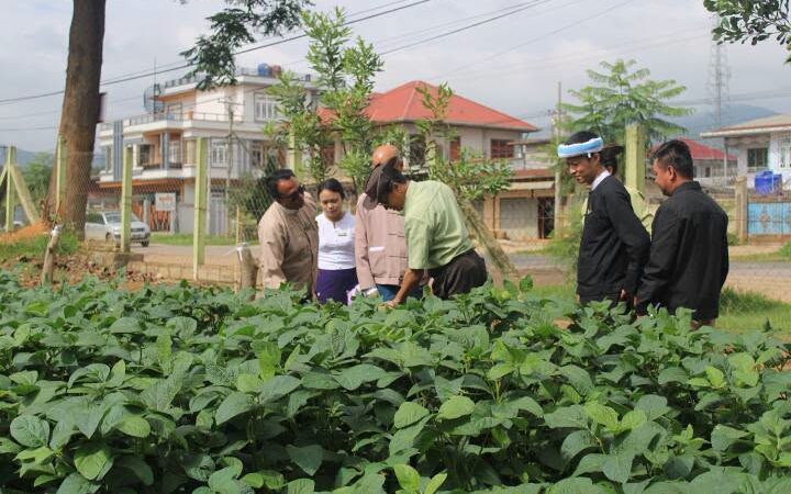 လွိုင်လင်မြို့နယ်၊ ပြည်နယ်လွှတ်တော်ကိုယ်စားလှယ် ခွန်သက်နိုင်အား ၂၀၂၆-၂၀၂၇ ခုနှစ် စိုက်ပျိုးရာသီအတွက် မျိုးစေ့၊ ဓာတ်မြေဩဇာနှင့် လယ်ယာသုံးစက်ကိရိယာများ ထောက်ပံ့ပေးအပ်မှာ နှုတ်ခွန်းဆက်စကားပြောကြား