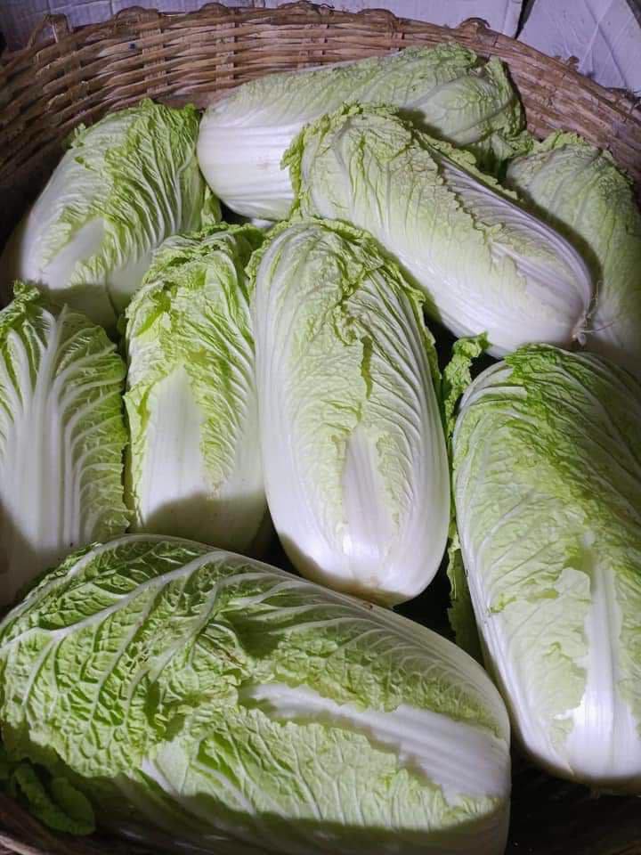 အောင်ပန်းကုန်စည်ဈေးကွက်တွင်  ရွှေပဲနှင့် အာလူးဈေးနှုန်းများ ဆက်လက်မြင့်တက်နေပြီးကျန်ကုန်စည်ဈေးနှုန်းအများစုမှာတည်ငြိမ်နေ